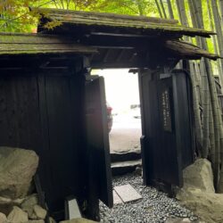 【宮﨑県の平屋注文住宅の人気の理由】後悔しない老後を見据えた平屋の家づくり｜成功の秘訣は「夏の体感が決め手」でした