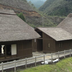 Reiwa’s Peach Blossom Spring: An Introduction to Miyazaki Prefecture’s Breathtaking Beauty