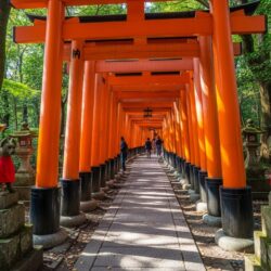 Discover the Ancient Architecture of Fushimi Inari Taisha in Kyoto: Historic Buildings Guide.