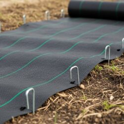 宮﨑県で注文住宅を建てるなら必読！防犯用の白砂利を使う場合は防草シートを忘れずに、後悔しない庭づくり