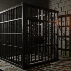 注文住宅は「鉄の檻」ではない！合理化が進み過ぎると「ルールが目的化」し創造性が失われる家造りには注意