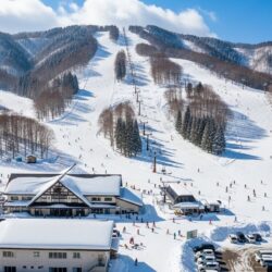 Worship at Amanoiwato Shrine and Ski at Gokase Highland Ski Park in Miyazaki Prefecture