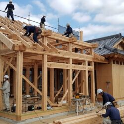 Zen Aesthetics: Why Japanese Homes Feel Comfortable and The Design Philosophy Behind Natural Living