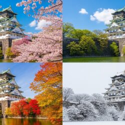 The Story of Osaka Castle: Wooden Architecture and Toyotomi Hideyoshi’s Legacy