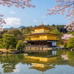 Spring at Kinkaku-ji: A Complete Guide to Kyoto’s Golden Pavilion