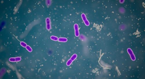 民泊運営について:プールやお風呂のレジオネラ菌対策と注意喚起