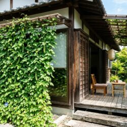 宮﨑県で今年の夏も猛暑対策！電気代を抑えて涼しく乗り切るための賢い暮らし方