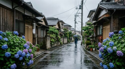 宮崎県の注文住宅で梅雨入りに活躍するサンルームや乾太くんの選び方とプラン設計