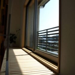 猫と暮らす家づくりで押さえたい5つのポイント｜宮崎市の佐藤建設