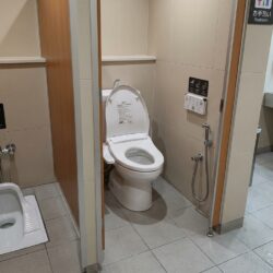 なぜ海外のトイレはウォシュレットが無いのか？日本との文化的な違いを徹底解説
